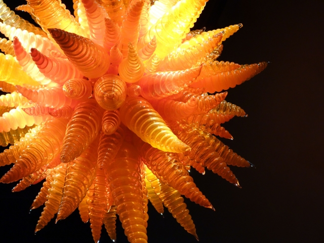 chihuly8