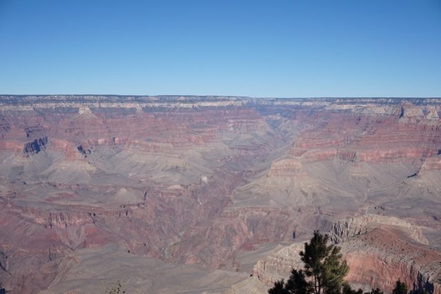 grand-canyon11