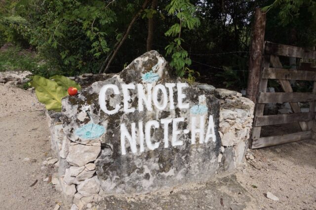 cenote-nicte-ha2